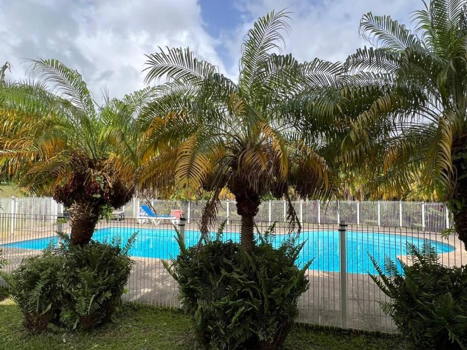 Kanoa Lodge Piscine Et Vue Mer Сейнт Клод Екстериор снимка