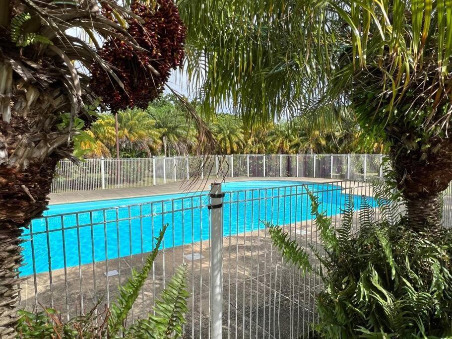 Kanoa Lodge Piscine Et Vue Mer Сейнт Клод Екстериор снимка